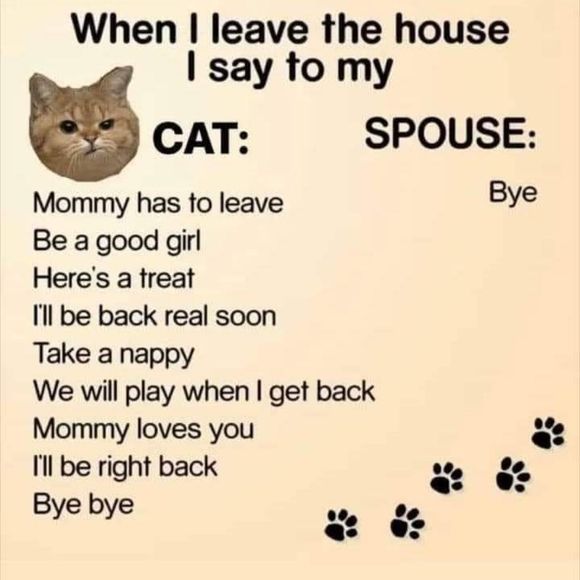 Meet your Posher, Sharona - Picture 5 of 13